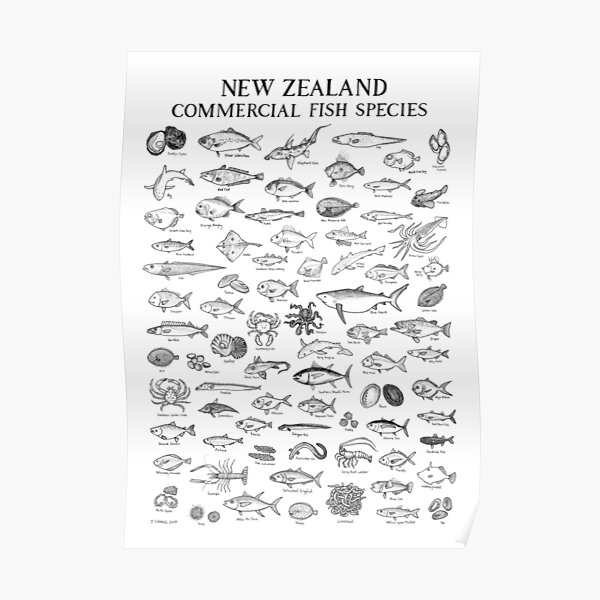 New Zealand Commercial Fish Sp – Commercial Wallpaper Printing Bewertung und Preis
